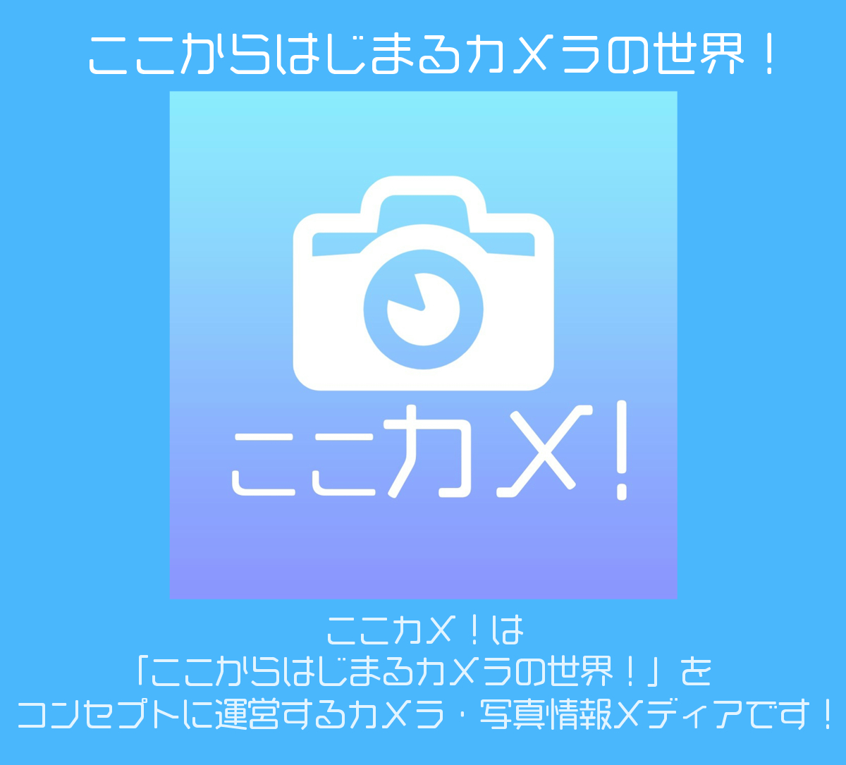 サプライズボックスアルバムで 特別感あふれる手作りプレゼントを作ってみたよ ここカメ