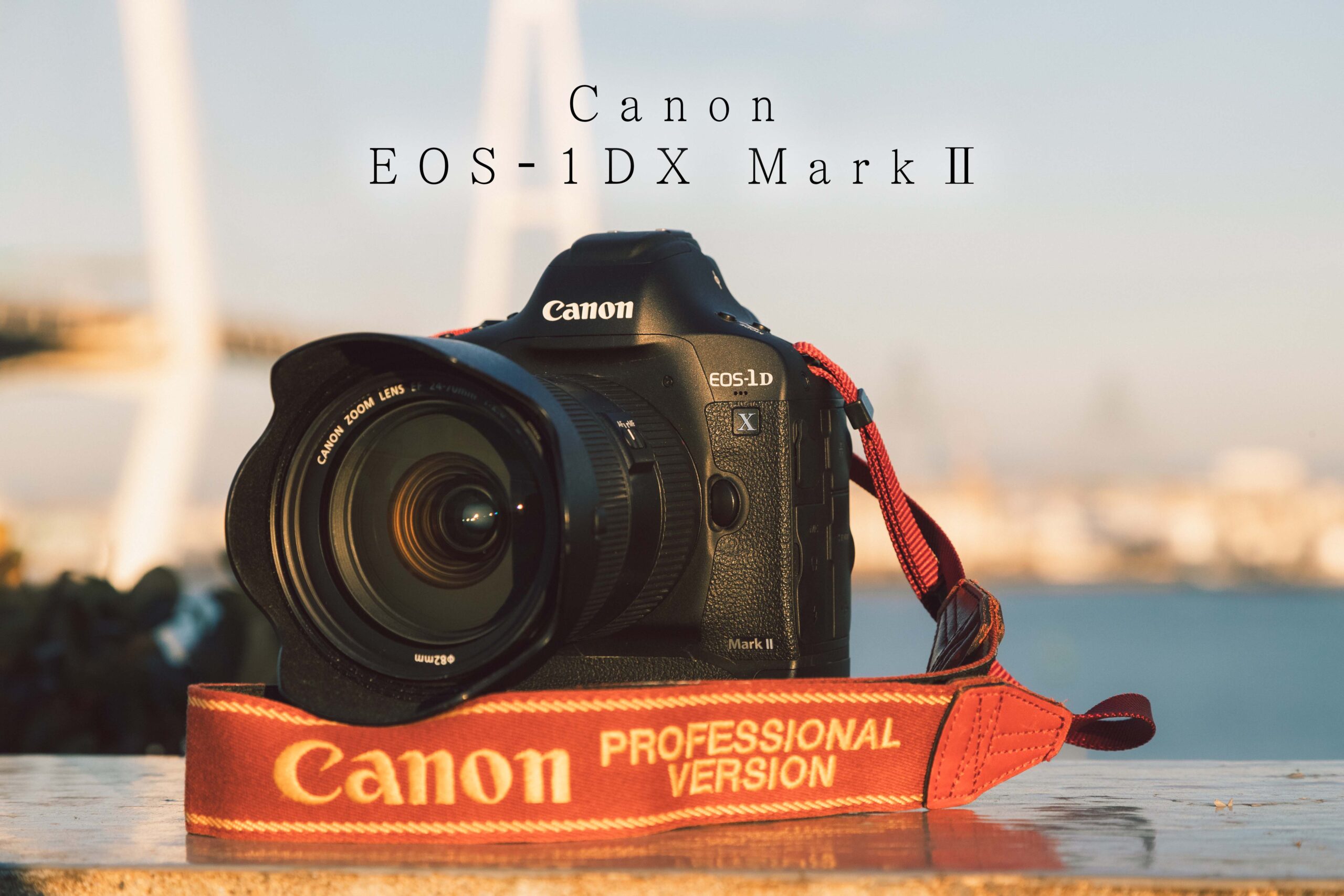 Canon EOS 1DX MarkⅡ